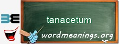 WordMeaning blackboard for tanacetum